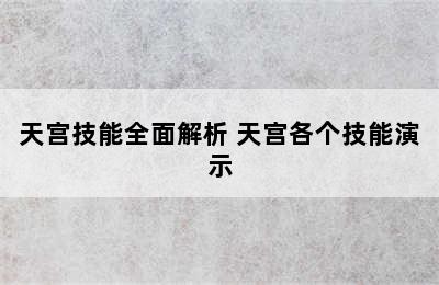 天宫技能全面解析 天宫各个技能演示